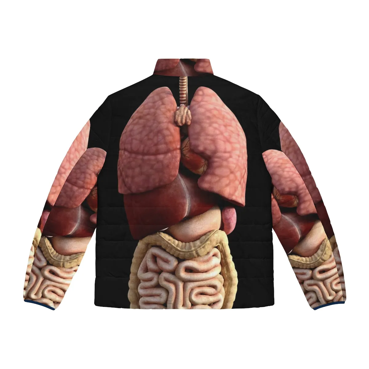 3D Internal Organs Puffer Jacket: A Unique Anatomical Fashion Statement