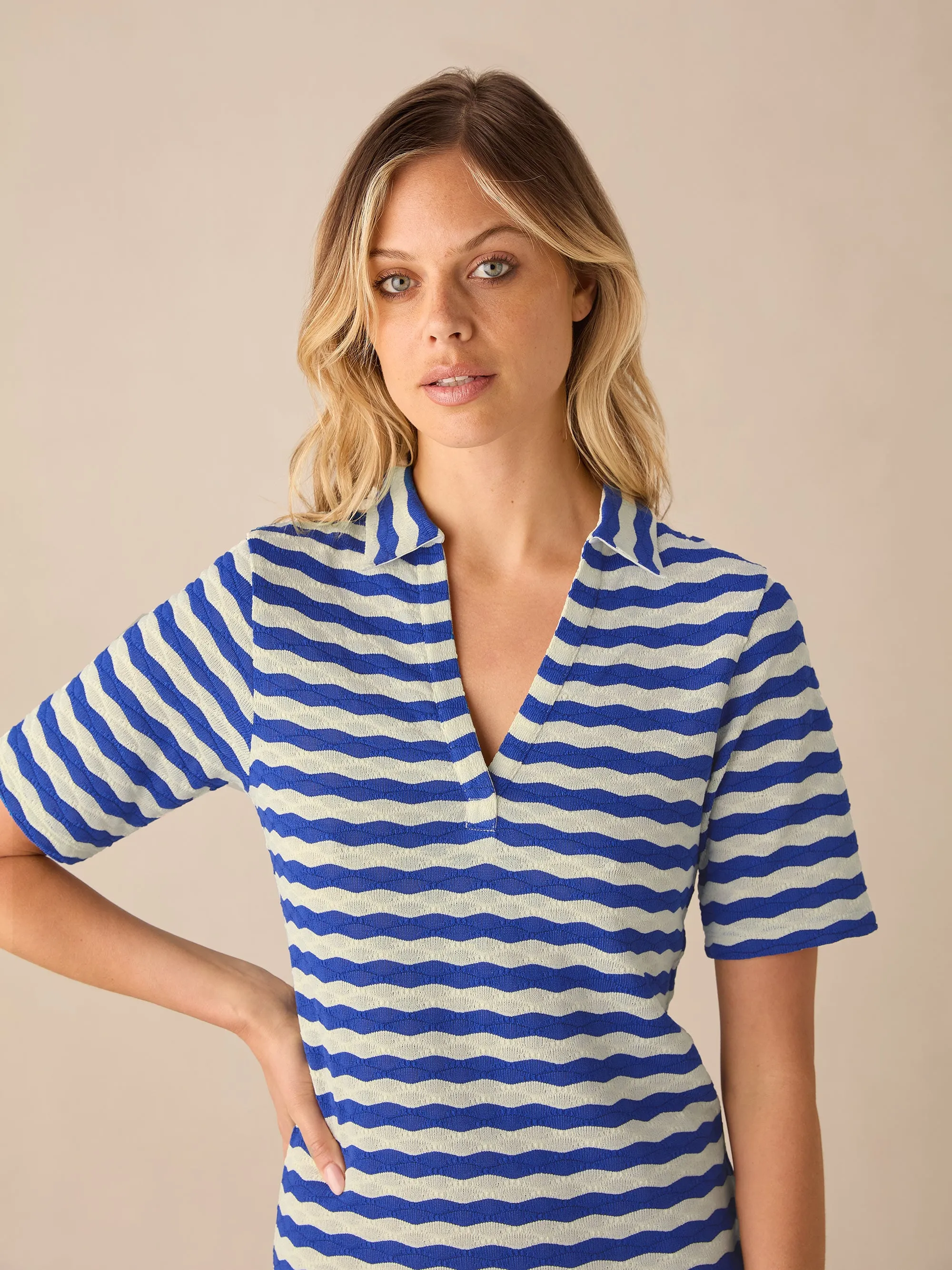 Blue Stripe Knit Collared Dress