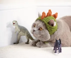 Cats In Hats - Dinosaur (Knit)