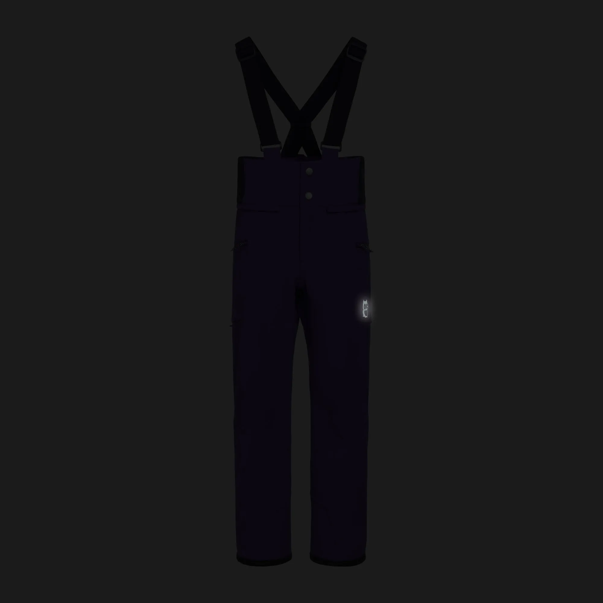 Dait 3 layer all season bib pants