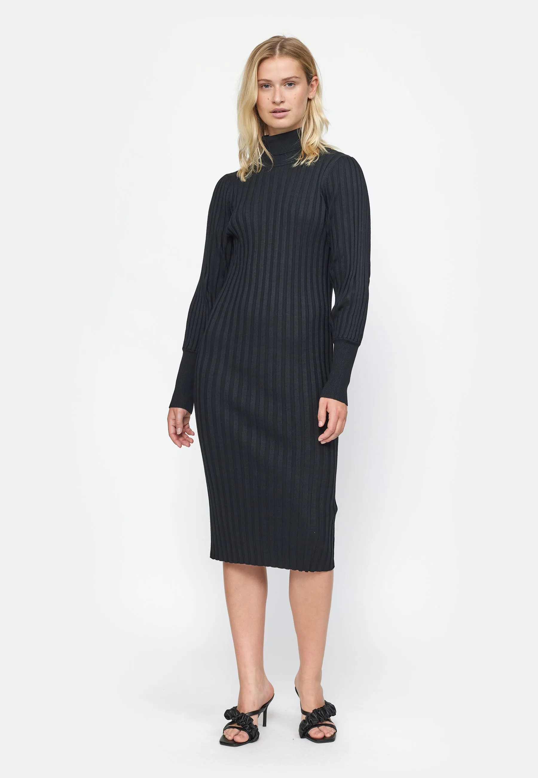 SRFelina Rollneck Dress Knit