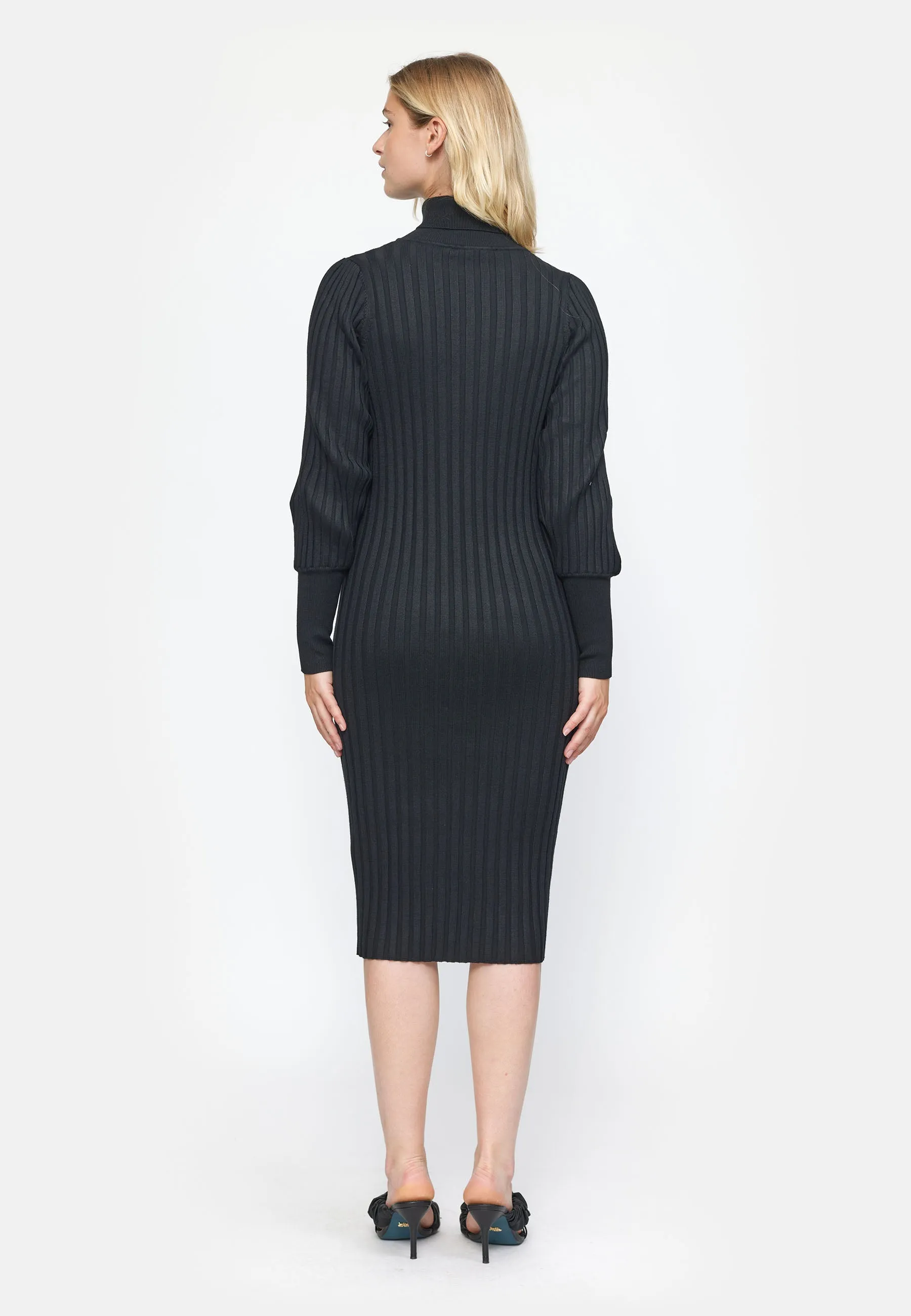 SRFelina Rollneck Dress Knit