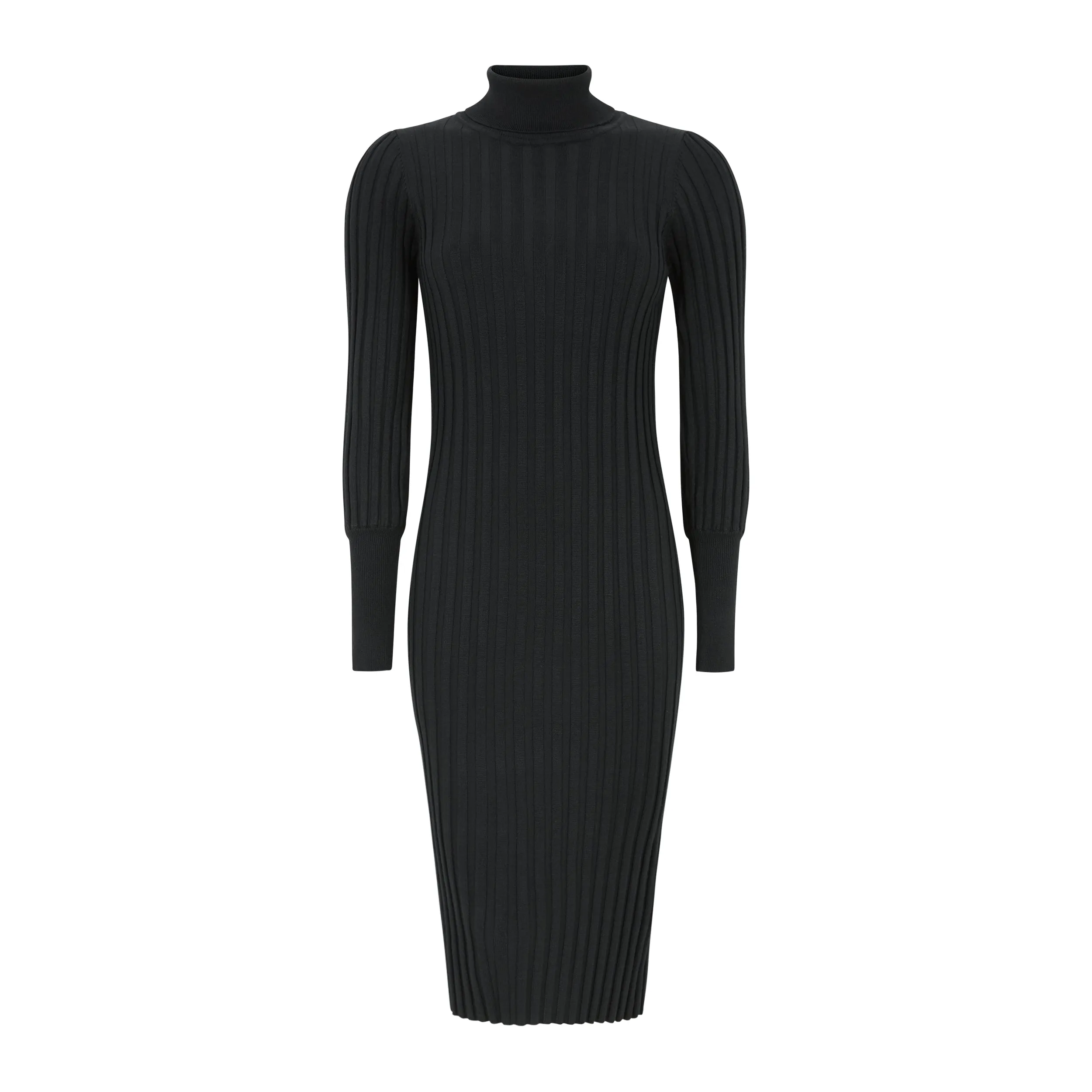 SRFelina Rollneck Dress Knit